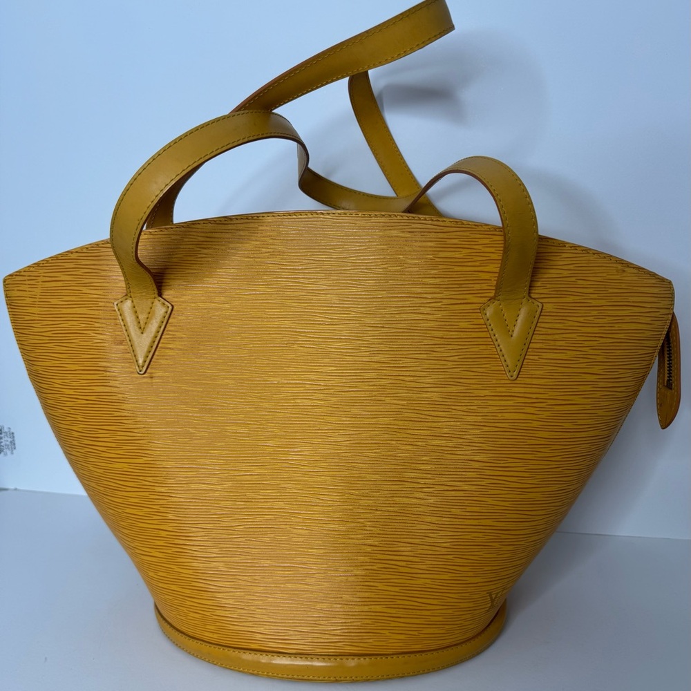 Louis Vuitton Saint Jacques bag
